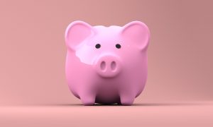piggy-2889042_1920