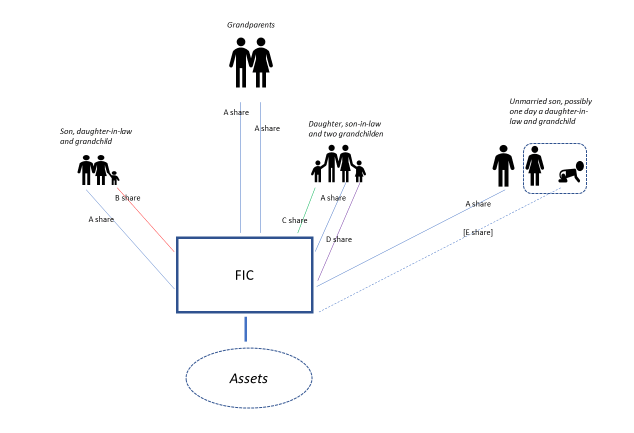 Family Investment Company Structure
