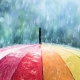 colourful umbrella in the rain