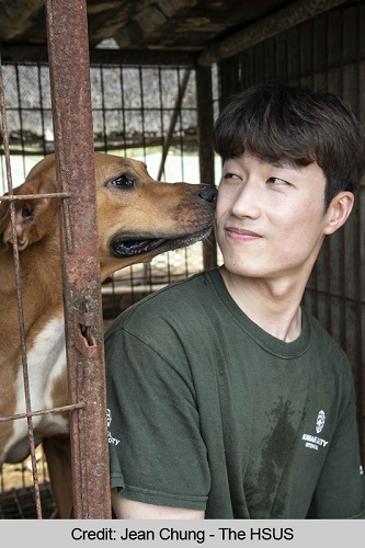 HSUS dog and person (Jean Chung)